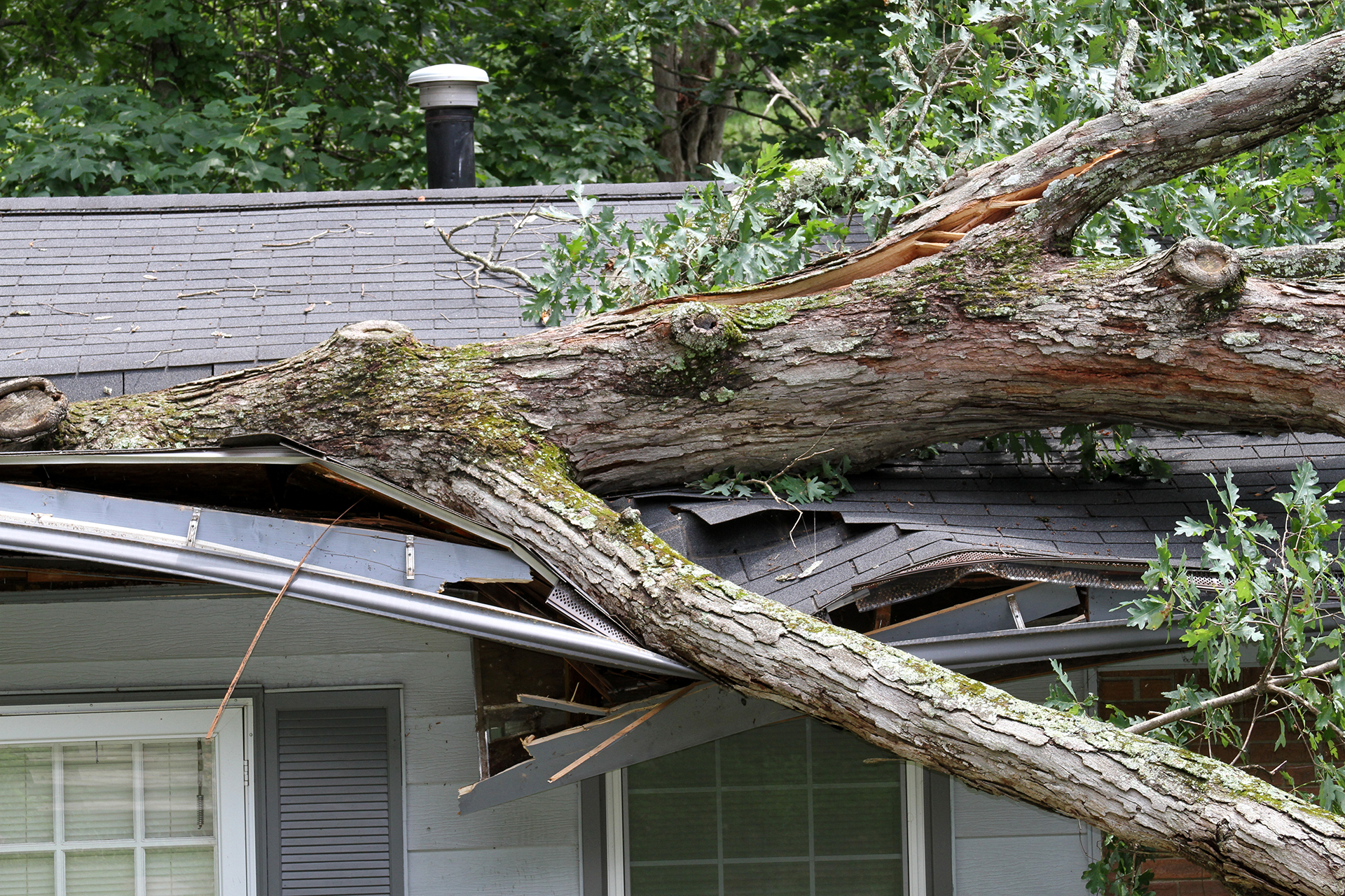 why-windstorm-coverage-is-so-important